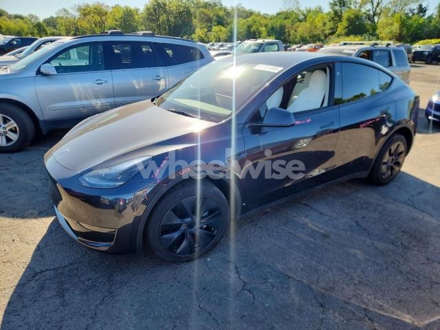 2024 TESLA MODEL Y (VIN 7SAYGDED5RF179011) main photo