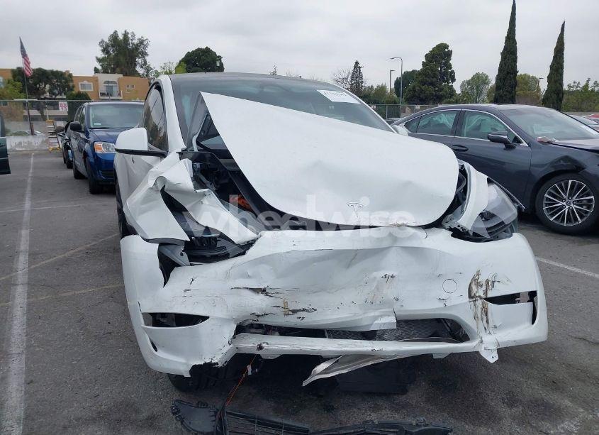 2024 Tesla Model Y (VIN 7SAYGDED6RF166543) main photo