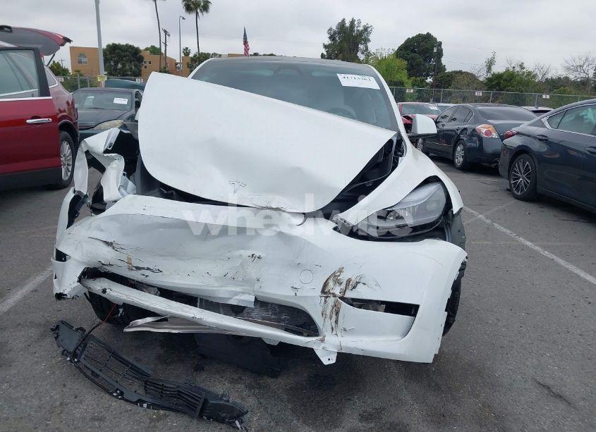 Photo 12 of 2024 Tesla Model Y (VIN 7SAYGDED6RF166543)