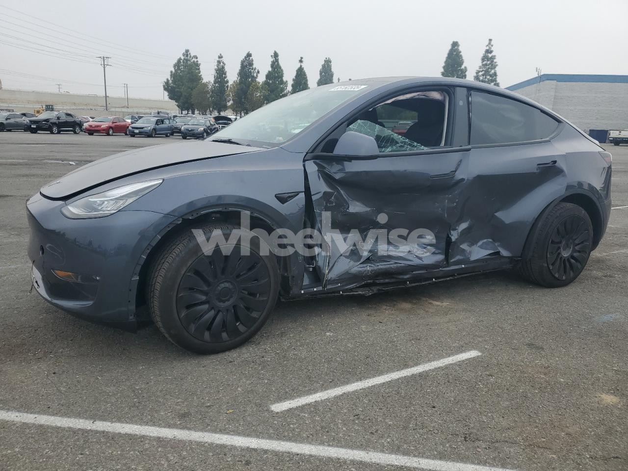 2023 TESLA MODEL Y (VIN 7SAYGDED7PF959203) main photo