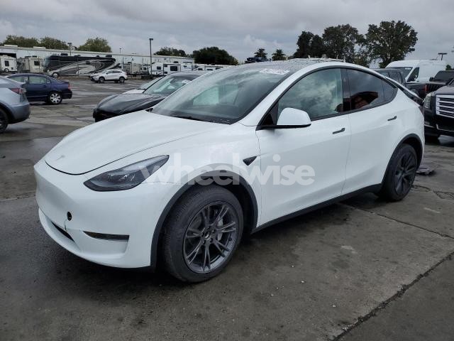 2024 TESLA MODEL Y (VIN 7SAYGDED7RF184503) main photo