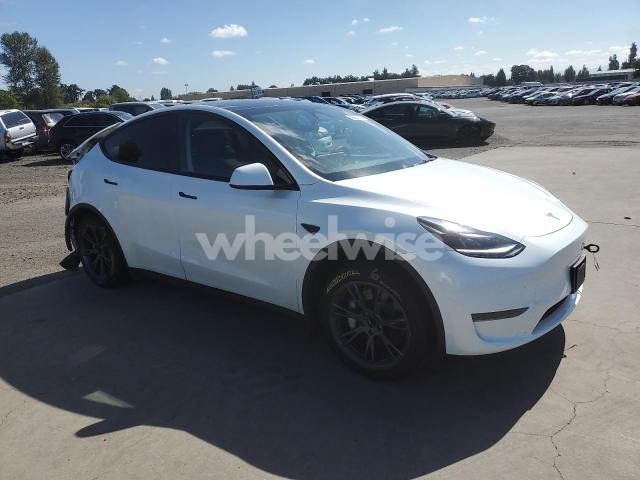 Photo 2 of 2025 TESLA MODEL Y (VIN 7SAYGDED7SF227873)