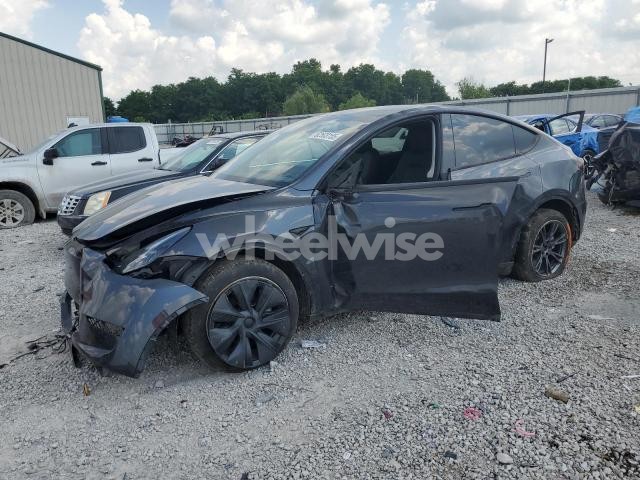 Photo 3 of 2024 TESLA MODEL Y (VIN 7SAYGDED8RF158606)