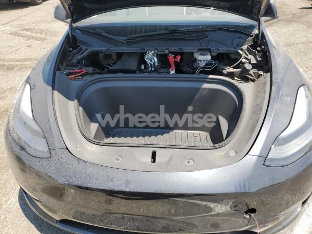 2024 TESLA MODEL Y (VIN 7SAYGDED9RF011128) main photo
