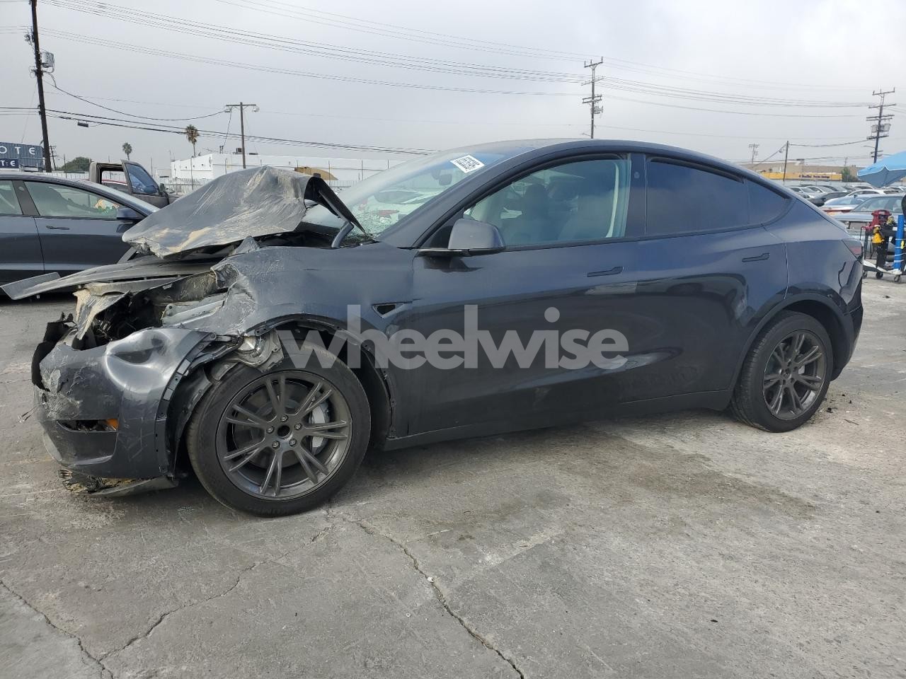 2024 TESLA MODEL Y (VIN 7SAYGDEDXRF120178) main photo