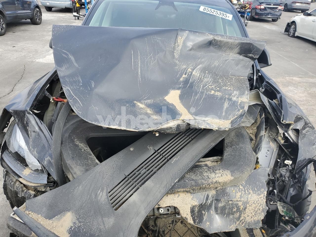 Photo 11 of 2024 TESLA MODEL Y (VIN 7SAYGDEDXRF120178)