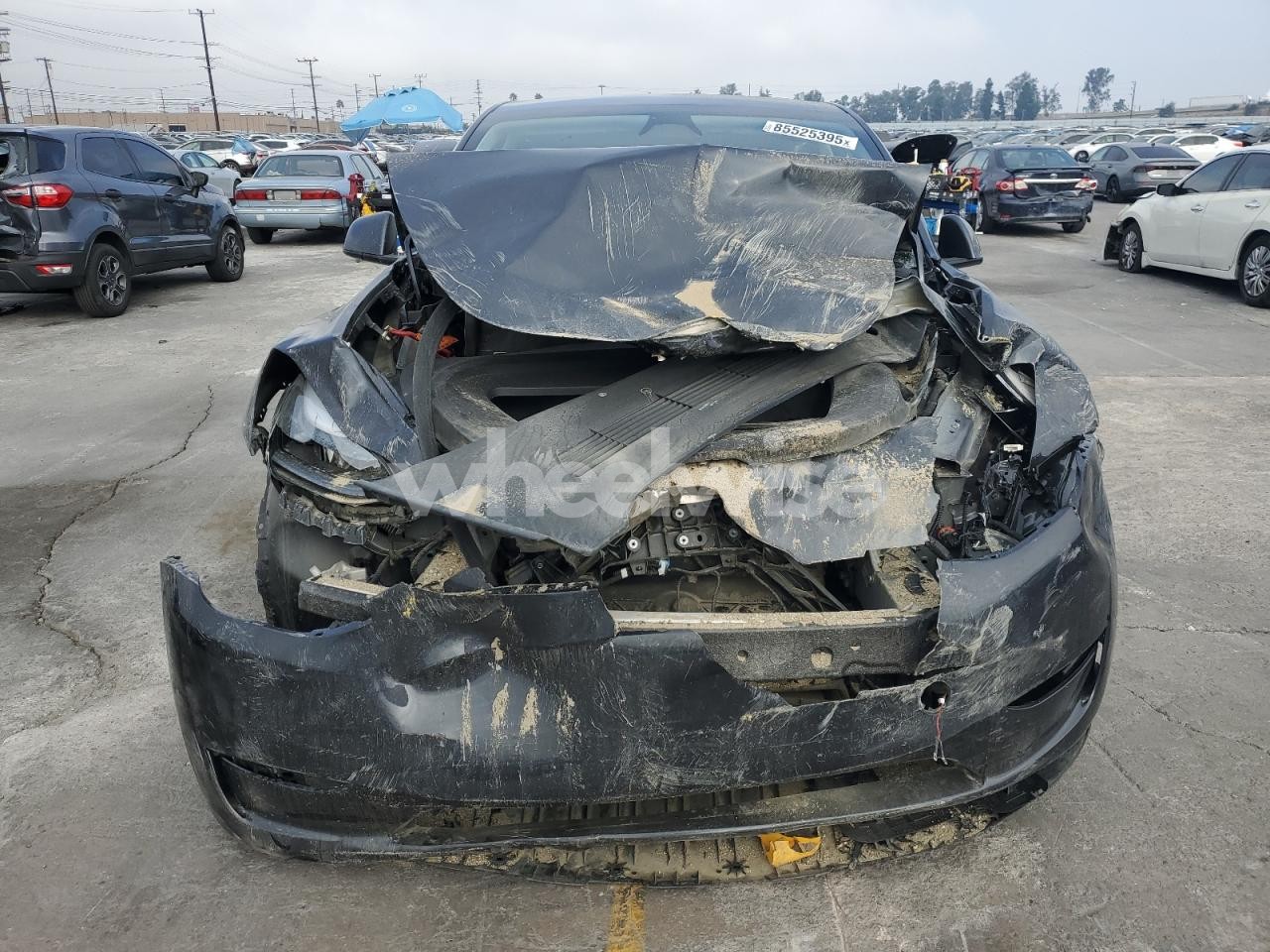 Photo 5 of 2024 TESLA MODEL Y (VIN 7SAYGDEDXRF120178)