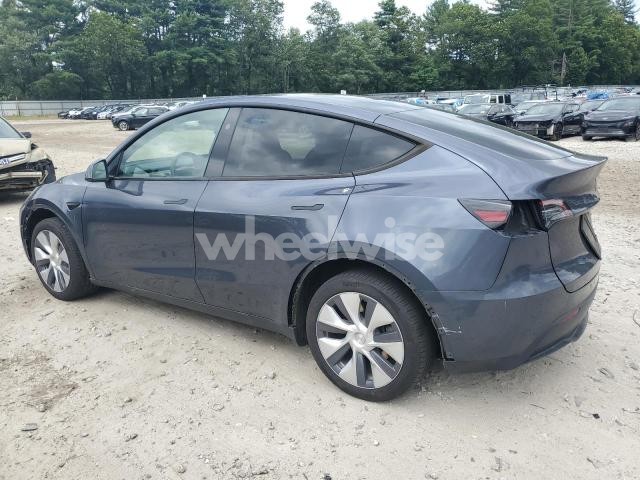 Photo 10 of 2023 TESLA MODEL Y (VIN 7SAYGDEE0PA196060)