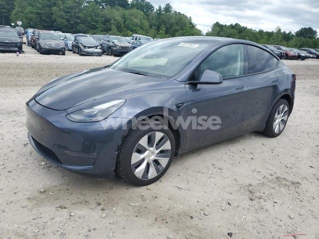 Photo 12 of 2023 TESLA MODEL Y (VIN 7SAYGDEE0PA196060)