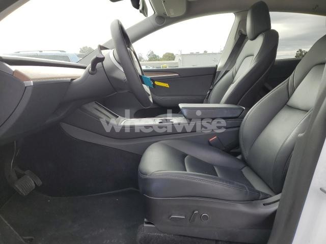 2023 TESLA MODEL Y (VIN 7SAYGDEE0PF582951) main photo