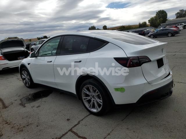 Photo 10 of 2023 TESLA MODEL Y (VIN 7SAYGDEE0PF582951)