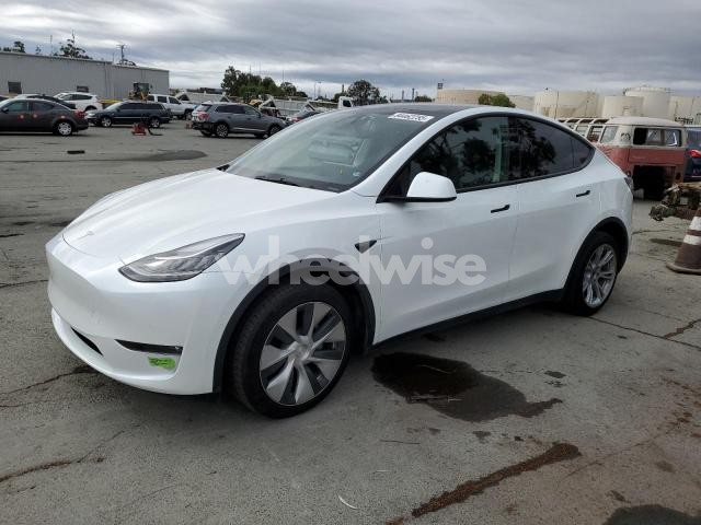 Photo 2 of 2023 TESLA MODEL Y (VIN 7SAYGDEE0PF582951)