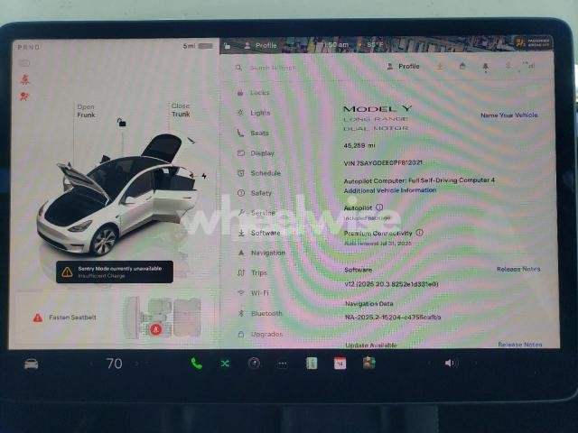 2023 TESLA MODEL Y (VIN 7SAYGDEE0PF812021) main photo