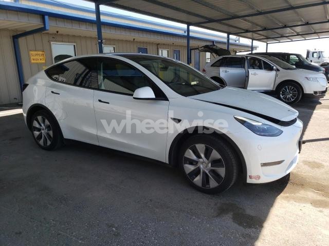 Photo 11 of 2023 TESLA MODEL Y (VIN 7SAYGDEE0PF812021)