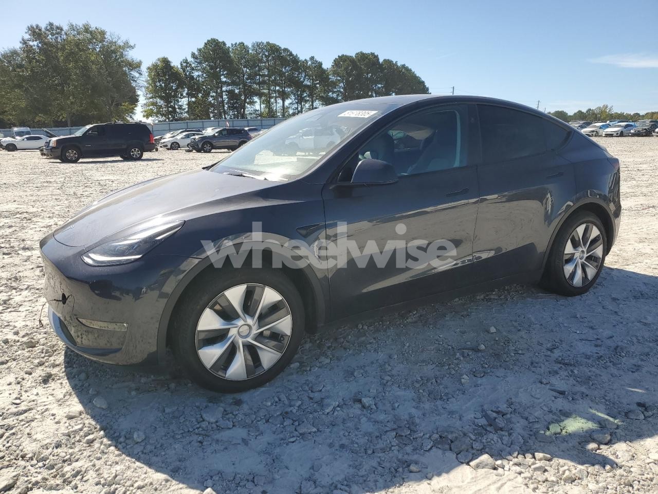 2024 TESLA MODEL Y (VIN 7SAYGDEE0RA270466) main photo