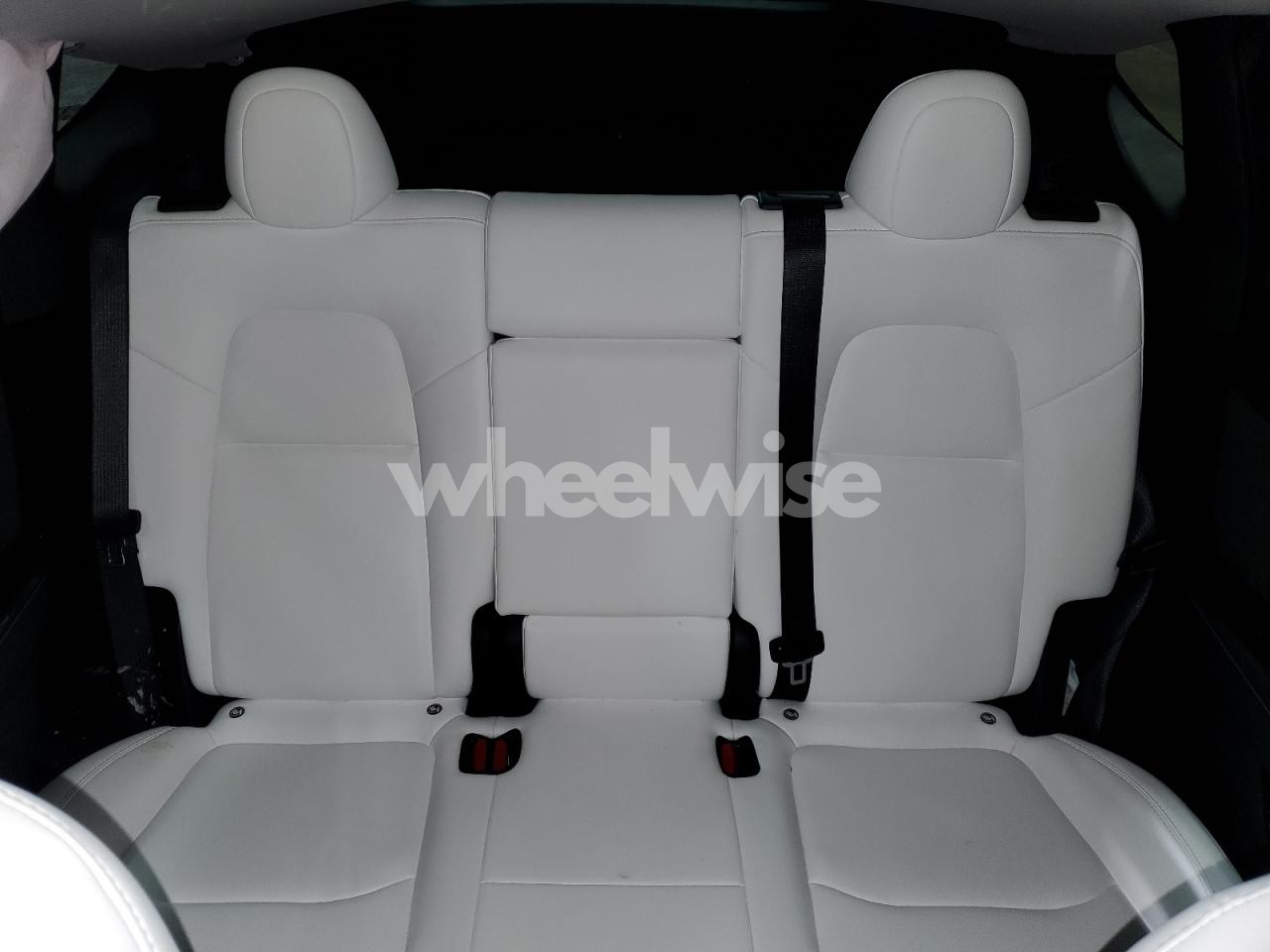 Photo 10 of 2024 TESLA MODEL Y (VIN 7SAYGDEE0RA287929)