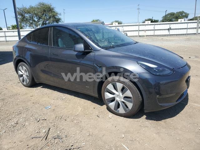 Photo 11 of 2024 TESLA MODEL Y (VIN 7SAYGDEE0RF067922)