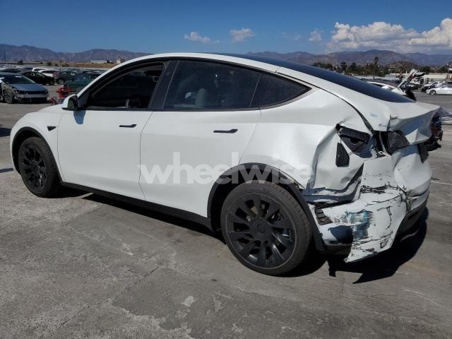 Photo 13 of 2024 TESLA MODEL Y (VIN 7SAYGDEE0RF150556)