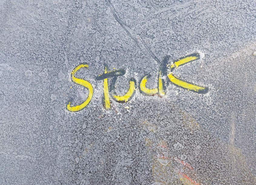 Photo 10 of 2023 Tesla Model Y AWD/LONG RANGE DUAL MOTOR ALL-WHEEL DRIVE (VIN 7SAYGDEE1PA121125)