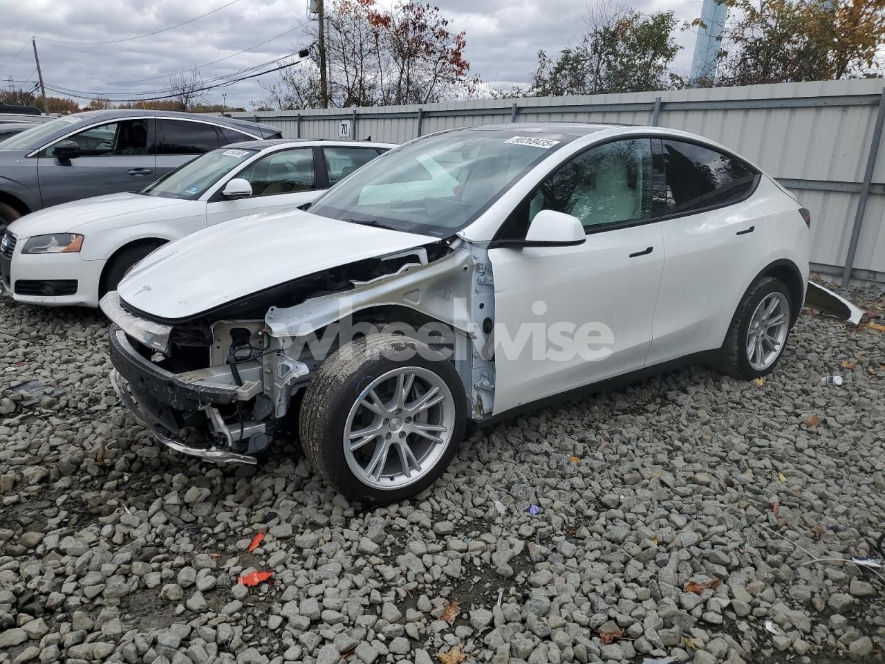 2023 TESLA MODEL Y (VIN 7SAYGDEE1PF614953) main photo