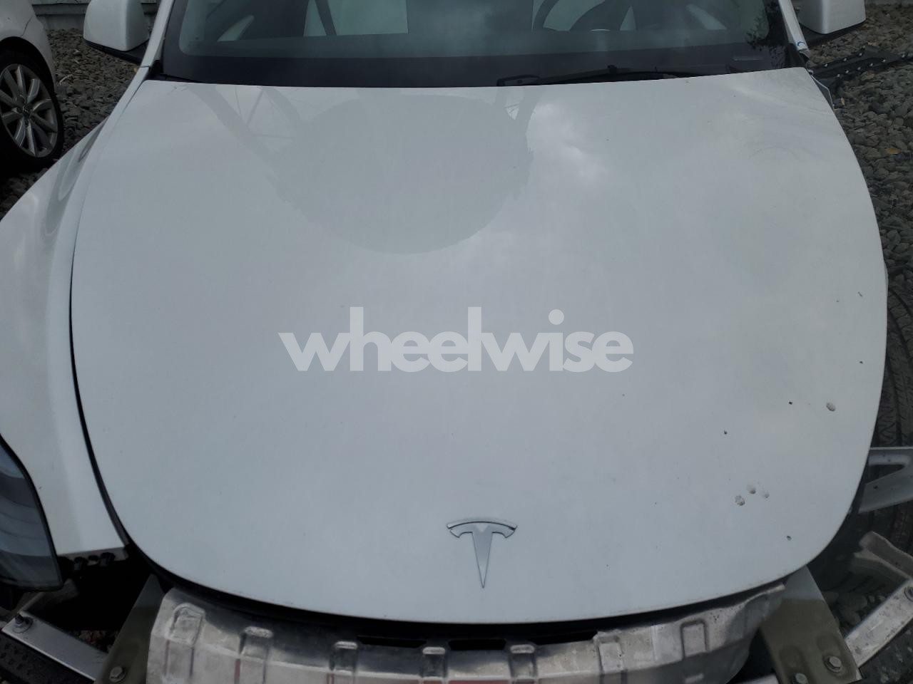 Photo 11 of 2023 TESLA MODEL Y (VIN 7SAYGDEE1PF614953)