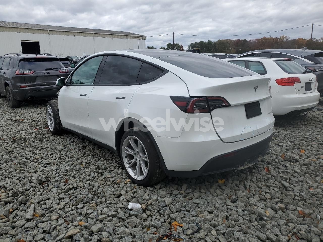 Photo 2 of 2023 TESLA MODEL Y (VIN 7SAYGDEE1PF614953)