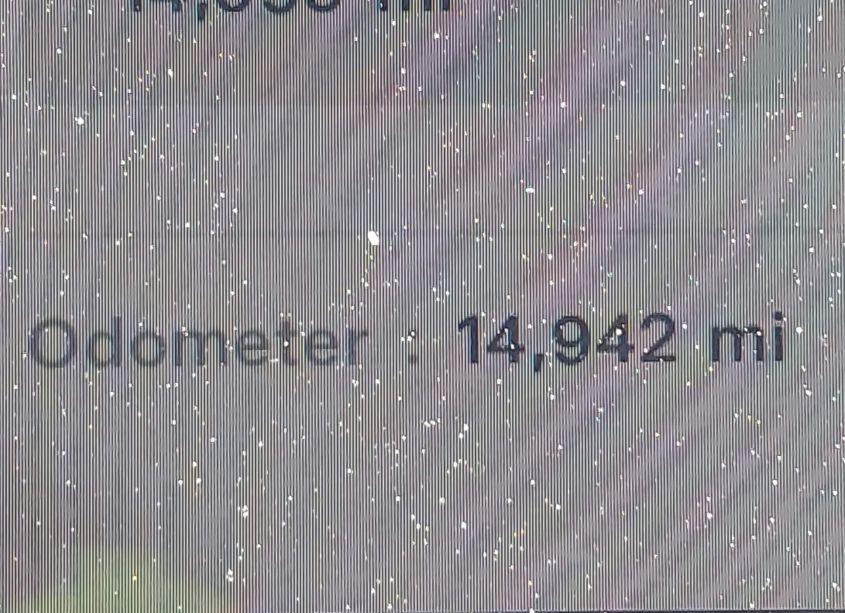 Photo 15 of 2023 Tesla Model Y AWD/LONG RANGE DUAL MOTOR ALL-WHEEL DRIVE (VIN 7SAYGDEE1PF920924)