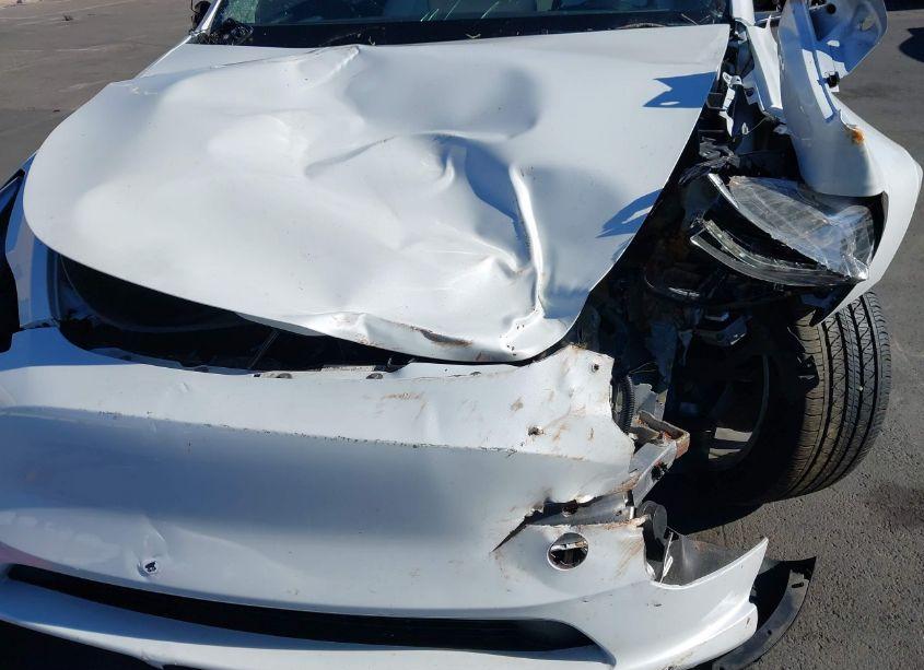 Photo 6 of 2023 Tesla Model Y AWD/LONG RANGE DUAL MOTOR ALL-WHEEL DRIVE (VIN 7SAYGDEE1PF920924)