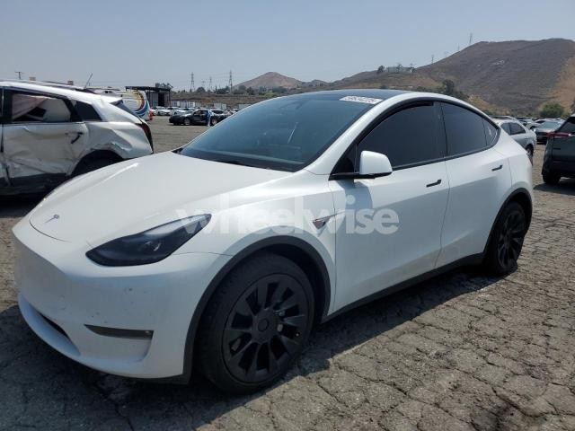 2023 TESLA MODEL Y (VIN 7SAYGDEE1PF926738) main photo