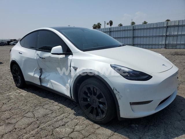 Photo 10 of 2023 TESLA MODEL Y (VIN 7SAYGDEE1PF926738)