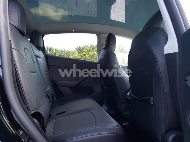 2024 TESLA MODEL Y (VIN 7SAYGDEE1RA301143) main photo