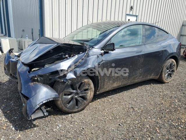 2024 TESLA MODEL Y (VIN 7SAYGDEE1RA308450) main photo