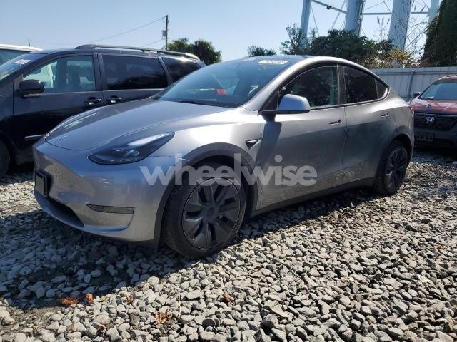 2024 TESLA MODEL Y (VIN 7SAYGDEE1RA328570) main photo