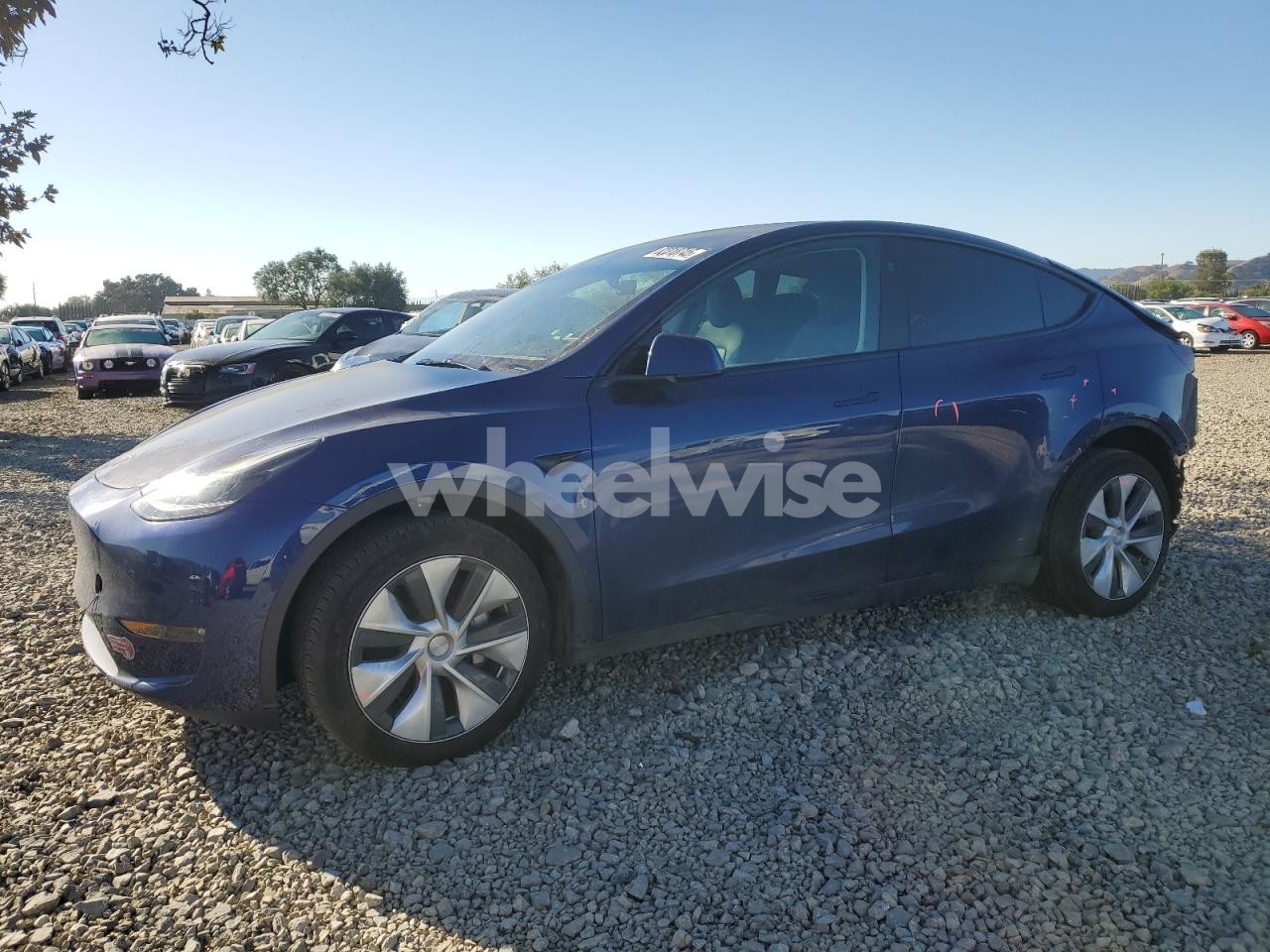 2024 TESLA MODEL Y (VIN 7SAYGDEE1RF025937) main photo