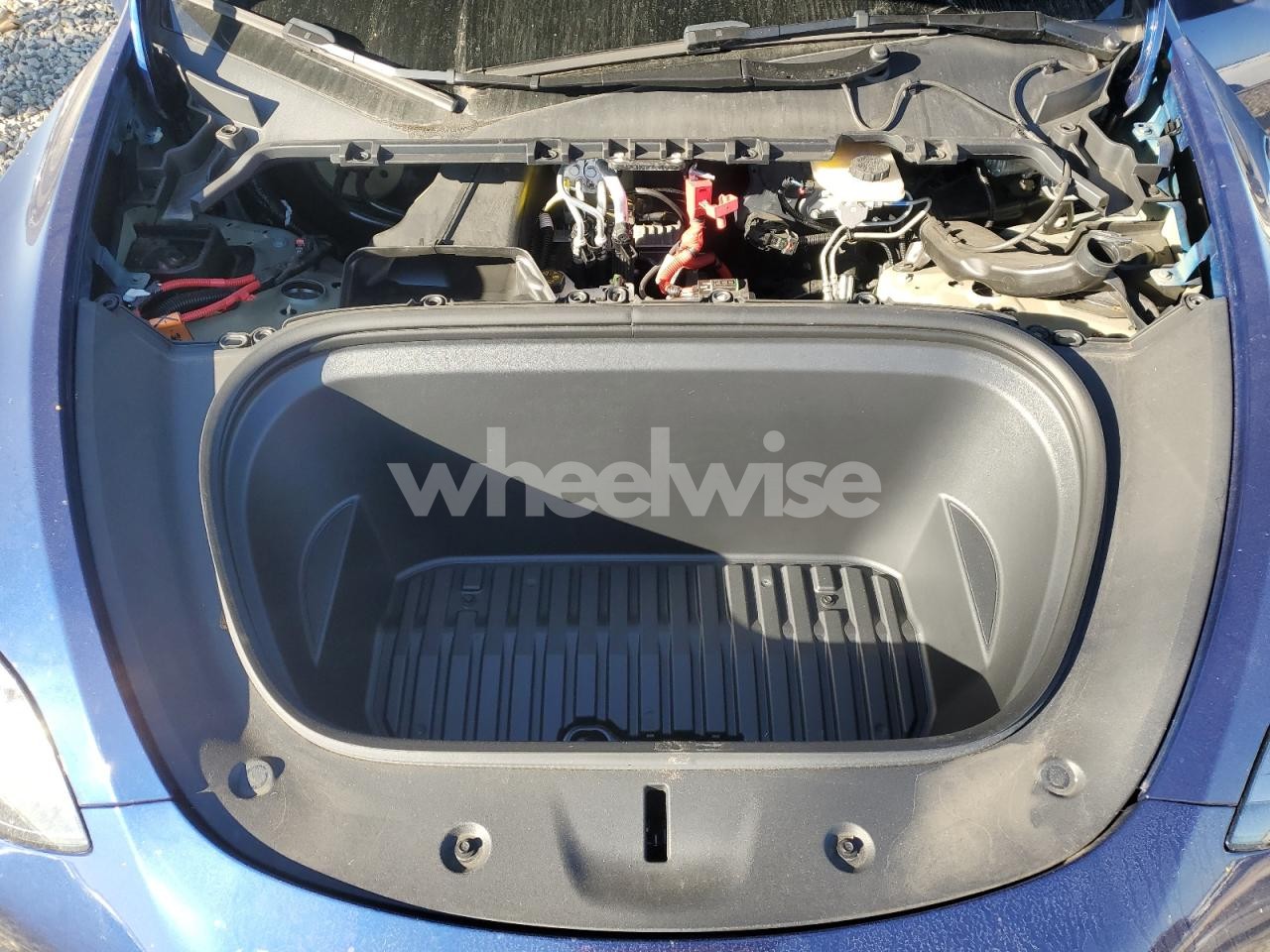 Photo 11 of 2024 TESLA MODEL Y (VIN 7SAYGDEE1RF025937)