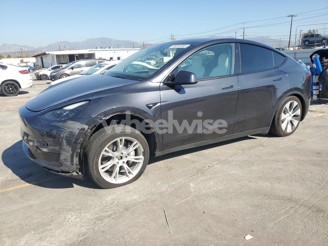 2024 TESLA MODEL Y (VIN 7SAYGDEE1RF062096) main photo