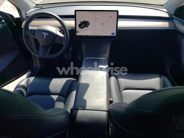 2024 TESLA MODEL Y (VIN 7SAYGDEE1RF128632) main photo
