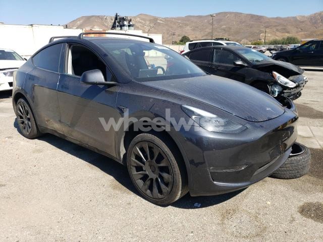 Photo 4 of 2024 TESLA MODEL Y (VIN 7SAYGDEE1RF128632)