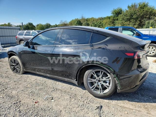 Photo 14 of 2025 TESLA MODEL Y (VIN 7SAYGDEE1SF288225)
