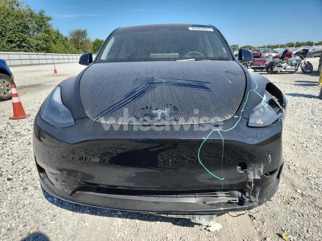 Photo 3 of 2025 TESLA MODEL Y (VIN 7SAYGDEE1SF288225)
