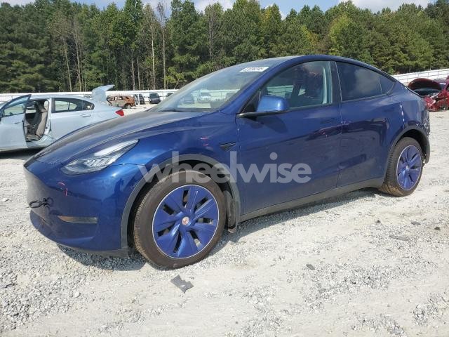 2023 TESLA MODEL Y (VIN 7SAYGDEE2PA068886) main photo