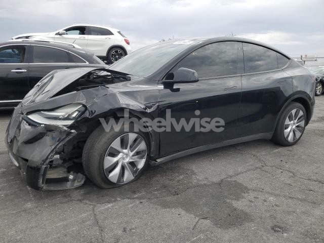 2023 TESLA MODEL Y (VIN 7SAYGDEE2PA114300) main photo