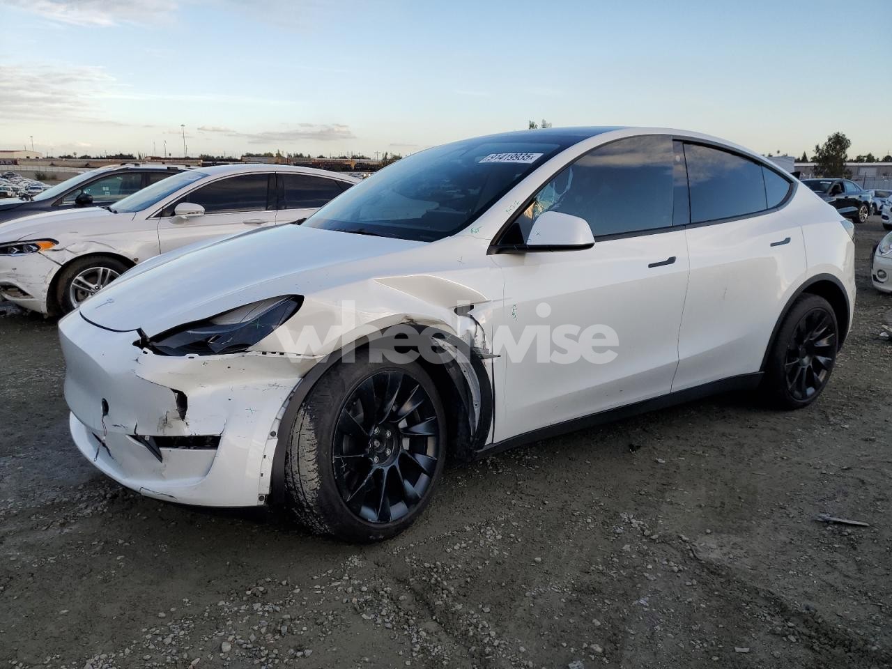 2023 TESLA MODEL Y (VIN 7SAYGDEE2PF626822) main photo