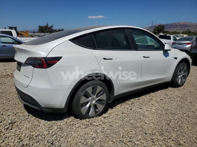 2023 TESLA MODEL Y (VIN 7SAYGDEE2PF739329) main photo