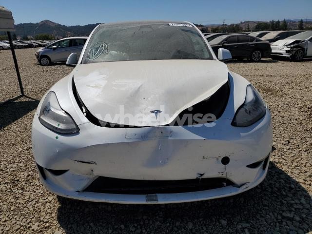 Photo 3 of 2023 TESLA MODEL Y (VIN 7SAYGDEE2PF739329)