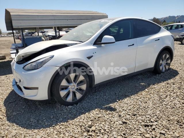 Photo 4 of 2023 TESLA MODEL Y (VIN 7SAYGDEE2PF739329)