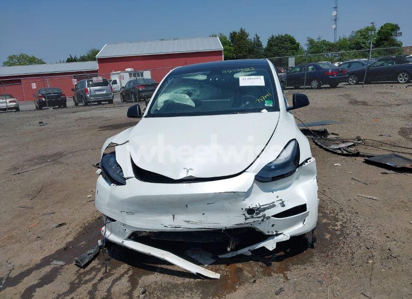 Photo 13 of 2023 Tesla Model Y (VIN 7SAYGDEE2PF747091)