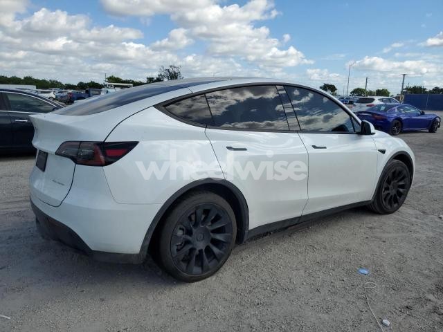 2023 TESLA MODEL Y (VIN 7SAYGDEE2PF752596) main photo