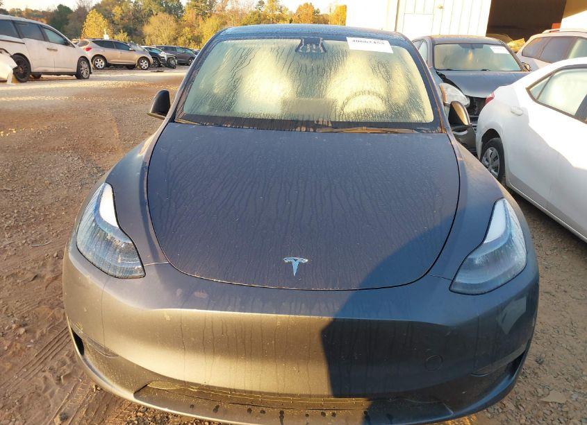 Photo 6 of 2023 Tesla Model Y (VIN 7SAYGDEE2PF754624)