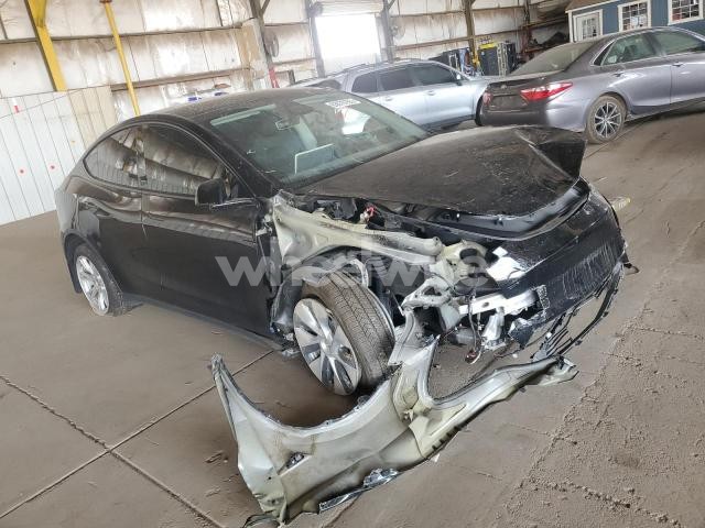 Photo 11 of 2023 TESLA MODEL Y (VIN 7SAYGDEE2PF870633)